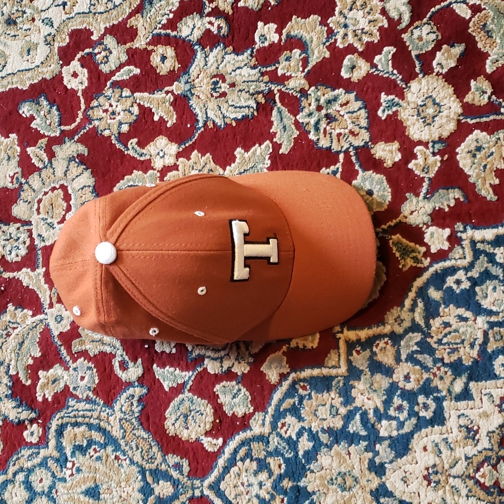 New Texas longhorns Cap